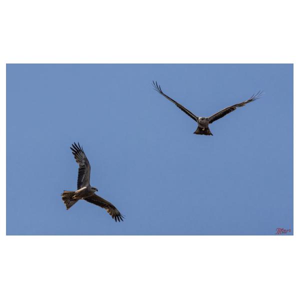 PHOTO84, CLUB, 84 , LUBERON